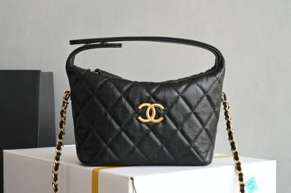 25 Handbag Hobo bag. BW01