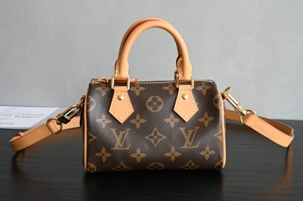 Nano Speedy Mini Monogram canvas . BW01