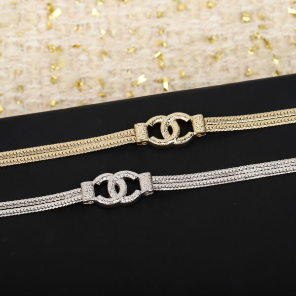Double-layer choker snake bone double C necklace.JW01 - Image 5