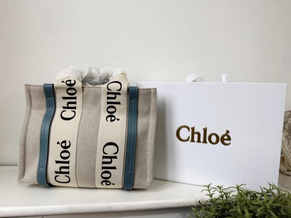 Small Woody tote bag in  shiny calfskin and linen white and blue small bag on the arm, shoulder or cross-body. - Image 10