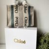 Small Woody tote bag in  shiny calfskin and linen white and blue small bag on the arm, shoulder or cross-body.