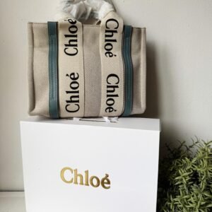 Small Woody tote bag in  shiny calfskin and linen white and blue small bag on the arm, shoulder or cross-body.