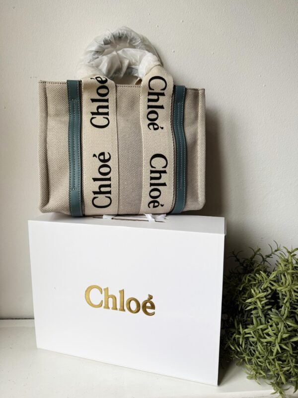 Small Woody tote bag in  shiny calfskin and linen white and blue small bag on the arm, shoulder or cross-body.