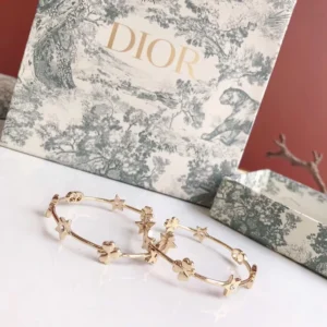 Golden hoop earring with stars,leafs decorated in circle.