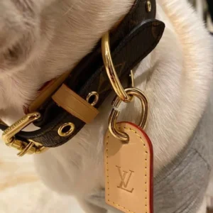 Alternative view of Dog leash made of dark brown cowhide with golden hardware.