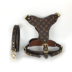 Dog leash